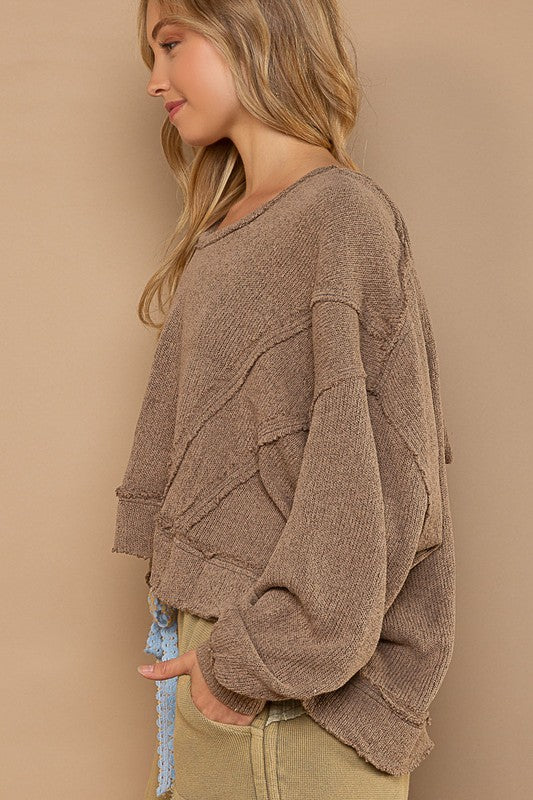 Round Neck Balloon Sleeve Hooded Knit Top - Ivy & Lane