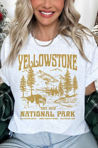 YELLOWSTONE NATIONAL PARK OVERSIZED GRAPHIC TEE