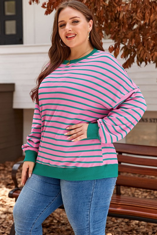 Pink Stripe Waffle Knit Plus Size Sweatshirt