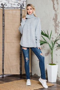 Solid Long Sleeve Turtleneck Sweater - Ivy & Lane