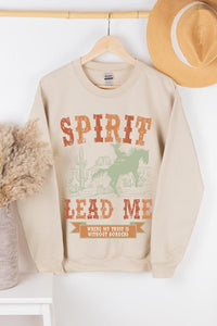 Desert Worship Spirit Graphic Fleece Sweatshirts Plus Size