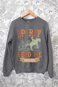 Desert Worship Spirit Graphic Fleece Sweatshirts Plus Size