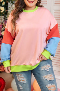 Women Plus Size Colorblock Crew Neck Sweatshirt