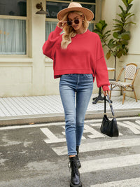 Round Neck Lantern Sleeve Sweater - Ivy & Lane